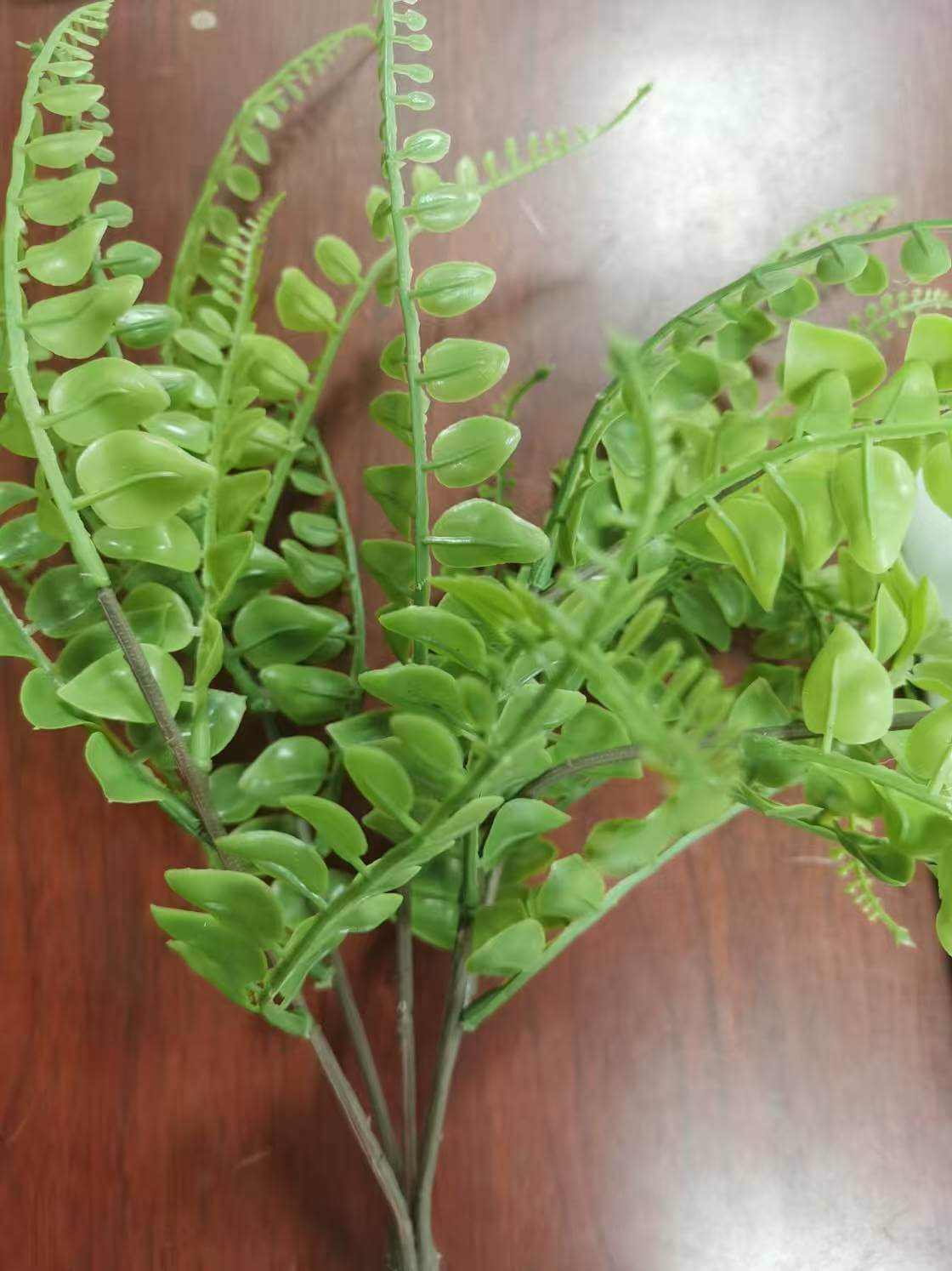 PE LEAF01