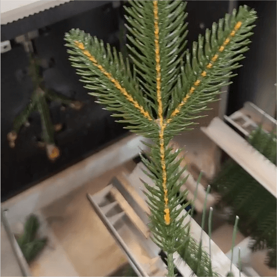 Покрасочная машина с желтым сердечником