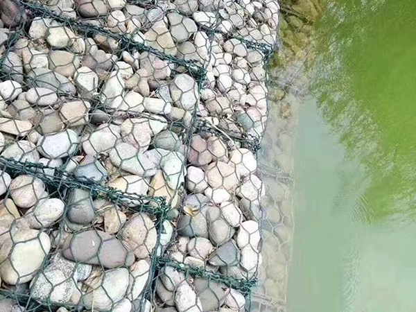 проволочная сетка