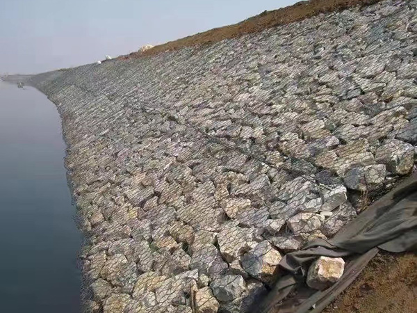 проволочная сетка