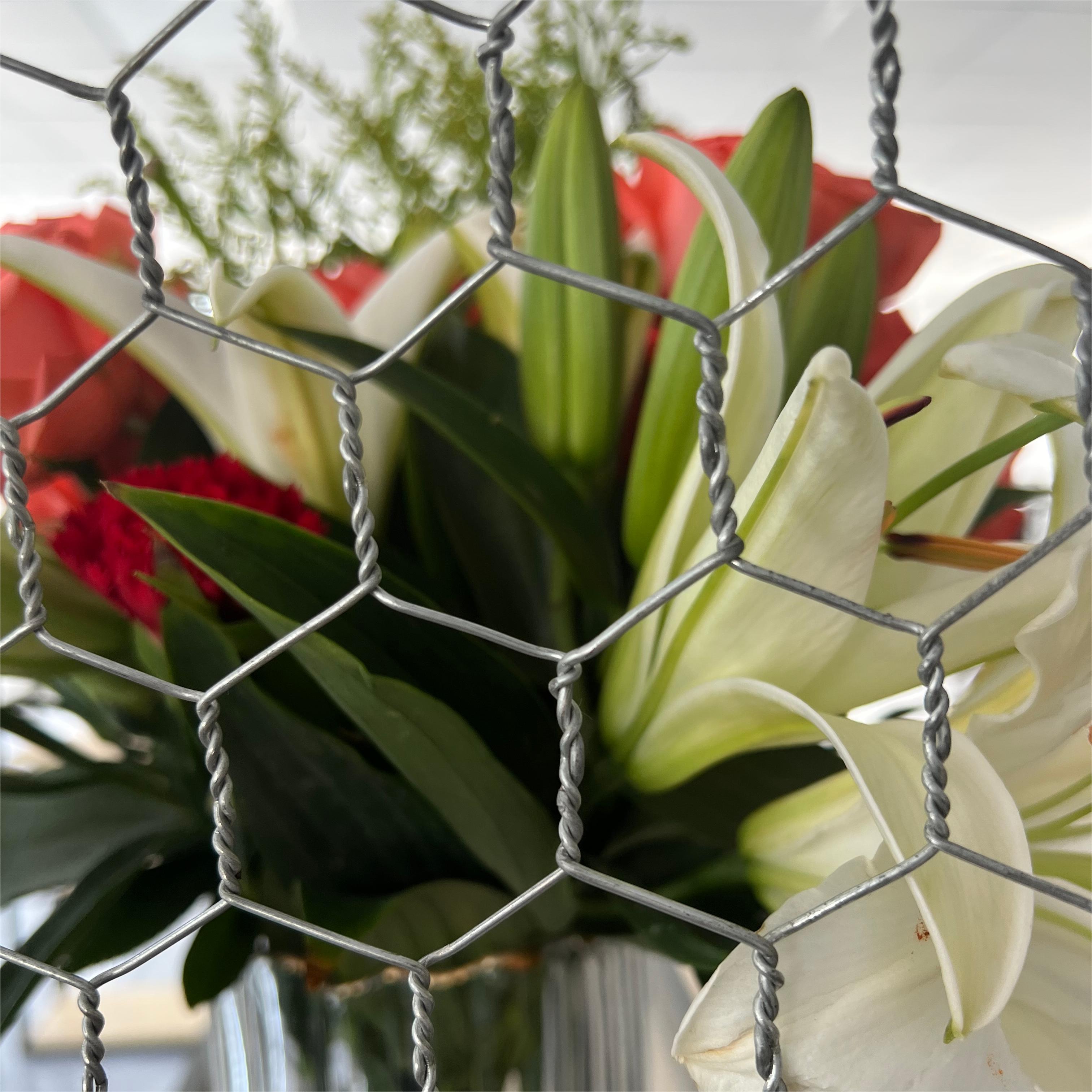 проволочная сетка